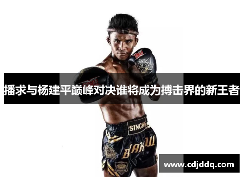 播求与杨建平巅峰对决谁将成为搏击界的新王者
